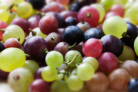 Grape