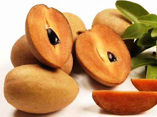 Sapodilla