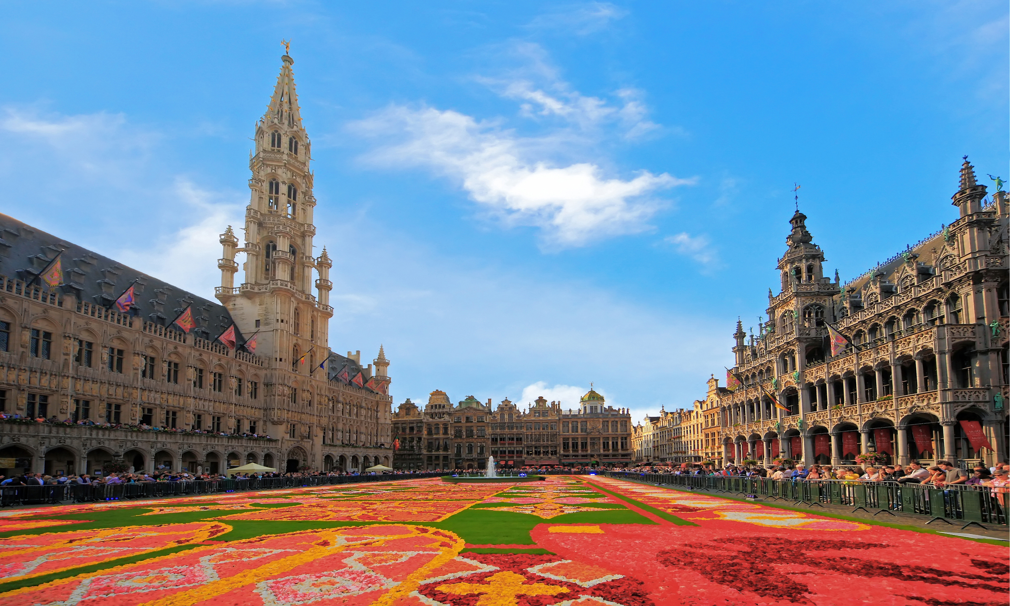 flower of Brussels - Brussels Capital State Symbol