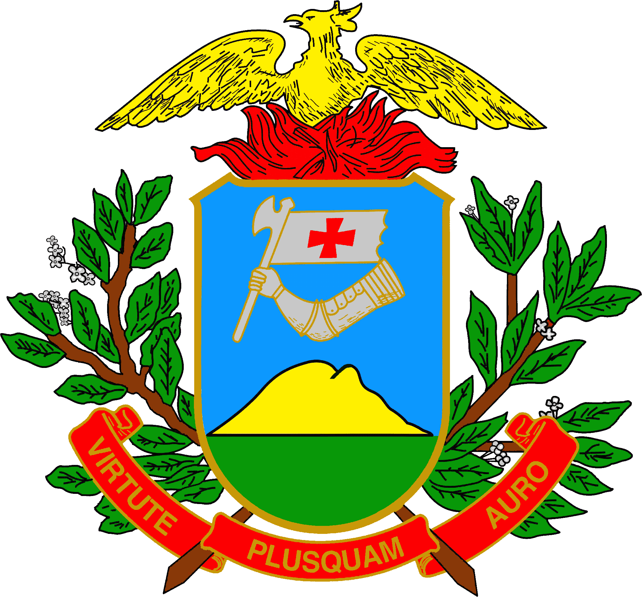 Official Seal / Emblem - Mato Grosso State Symbol