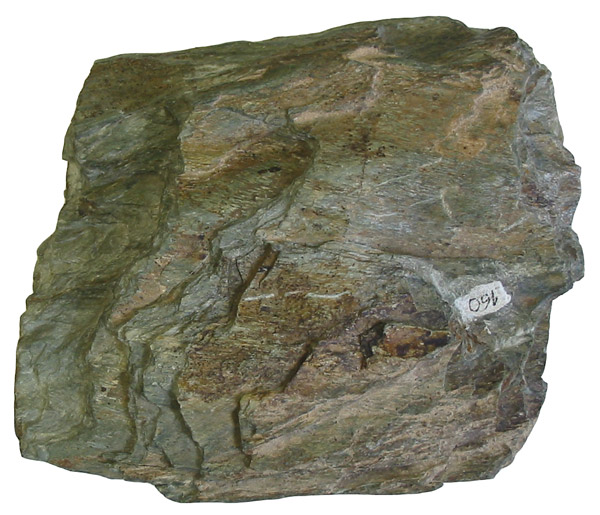 greenschist - Kainuu State Symbol