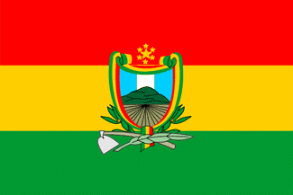 Official Flag