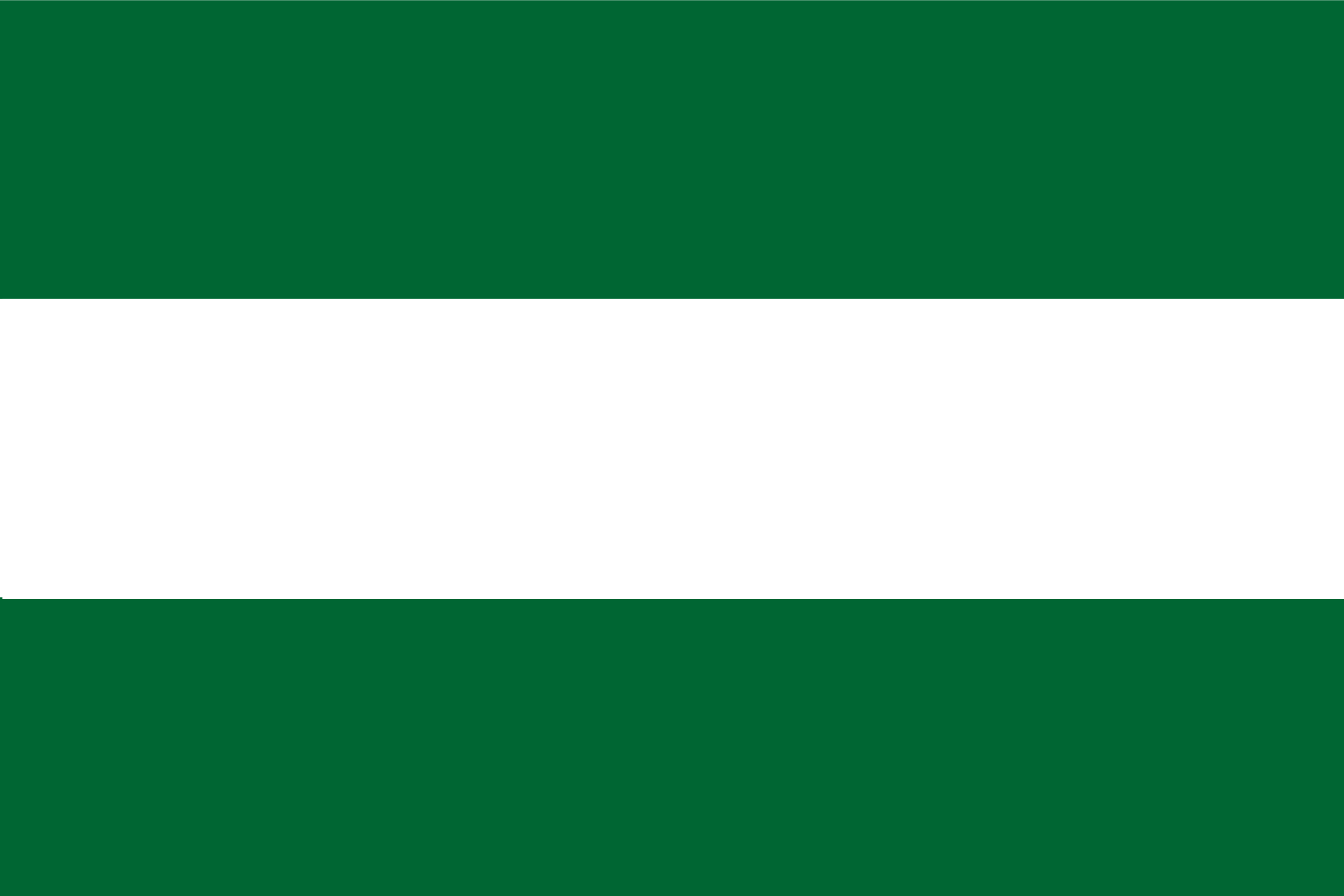 Official Flag - Comayagua Department State Symbol