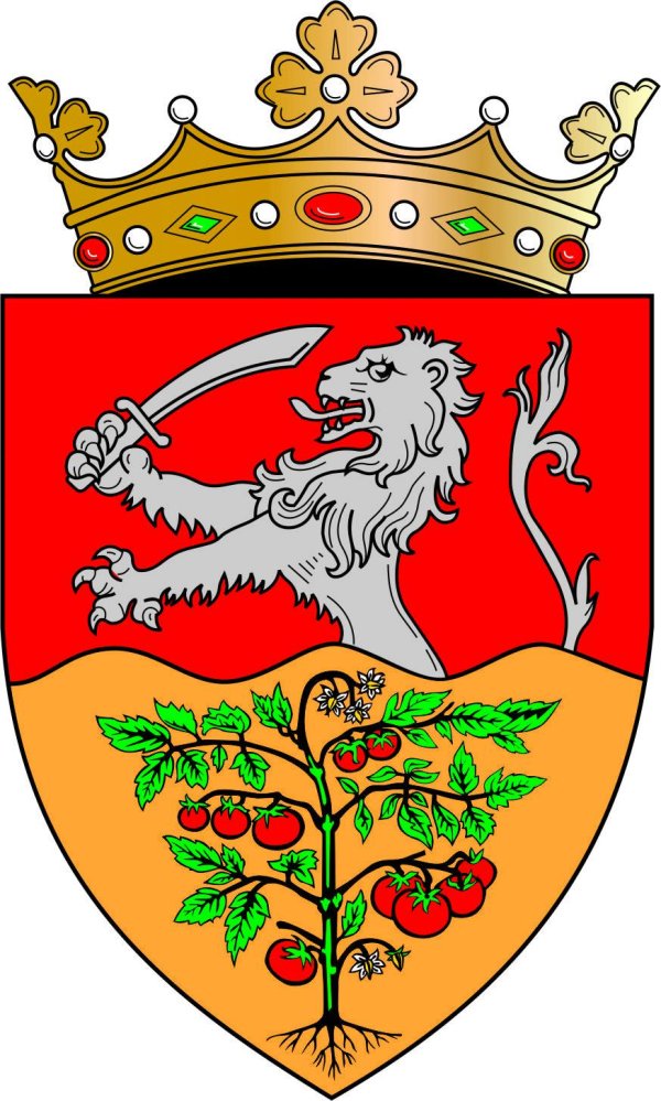 Official Seal / Emblem - Anenii Noi State Symbol