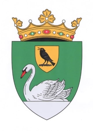 Official Seal / Emblem - Cantemir State Symbol