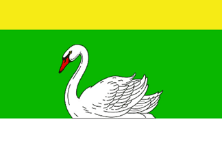 Official Flag - Cantemir State Symbol