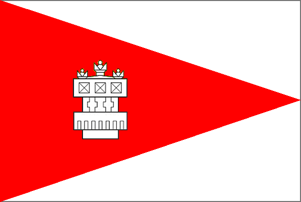 Official Flag - Criuleni State Symbol