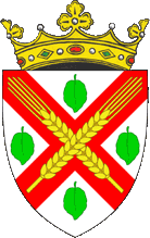 Official Seal / Emblem - Donduşeni State Symbol