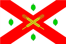 Official Flag - Donduşeni State Symbol