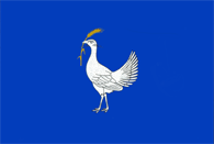 Official Flag - Drochia State Symbol