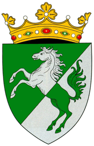 Official Seal / Emblem - Fălești State Symbol