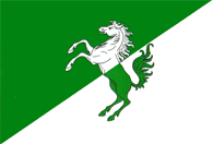 Official Flag - Fălești State Symbol