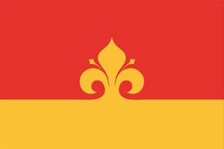 Official Flag - Floreşti State Symbol