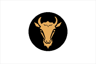 Official Flag - Glodeni State Symbol