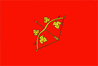 Official Flag - Hînceşti State Symbol