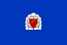 Official Flag - Ialoveni State Symbol