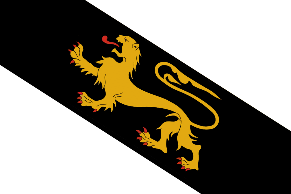 Official Flag - Leova State Symbol