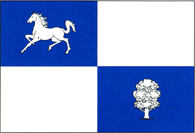 Official Flag - Nisporeni State Symbol