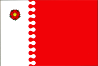Official Flag - Rîşcani State Symbol