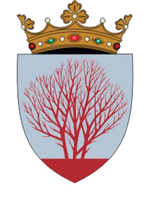 Official Seal / Emblem - Sîngerei State Symbol