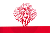 Official Flag - Sîngerei State Symbol