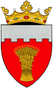 Official Seal / Emblem - Soroca District State Symbol