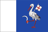 Official Flag - Teleneşti State Symbol