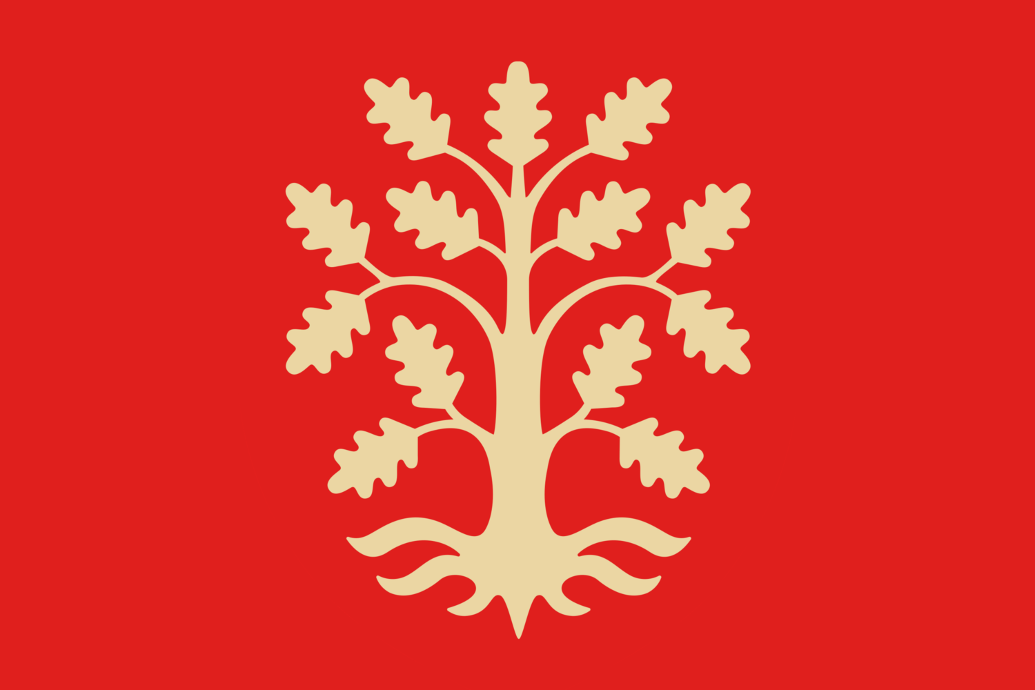 Official Flag - Agder State Symbol