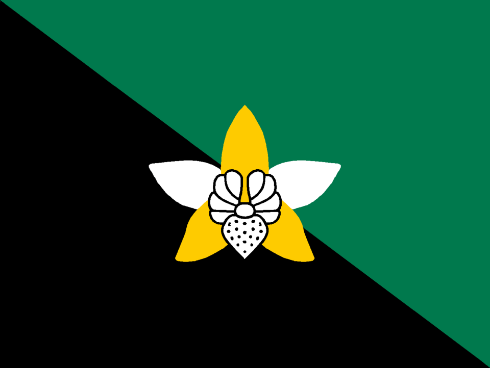 Official Flag - Enga Province State Symbol