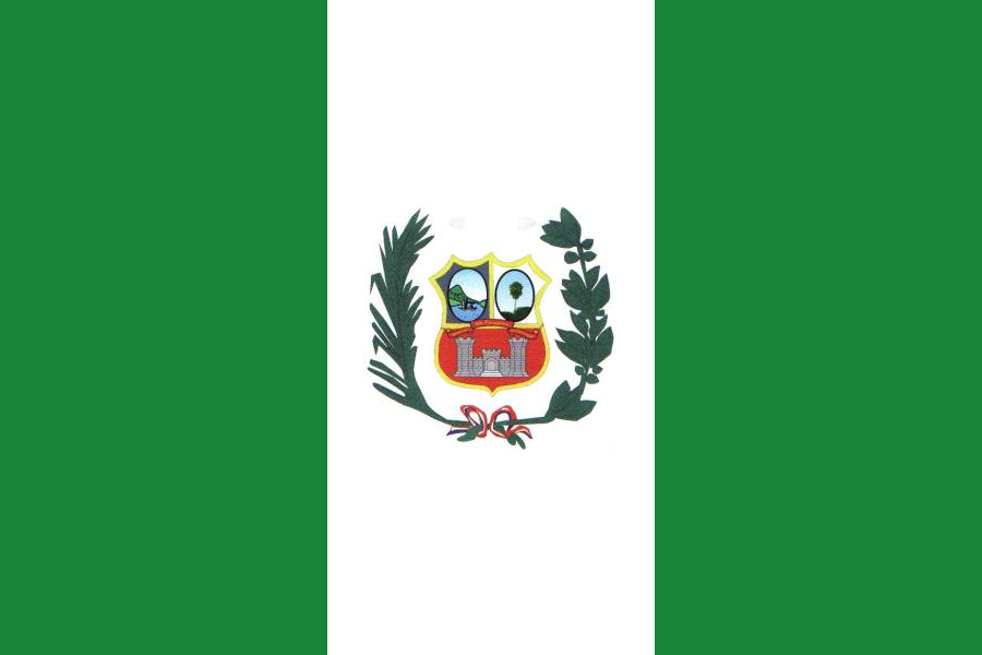 Official Flag - Alto Paraguay State Symbol