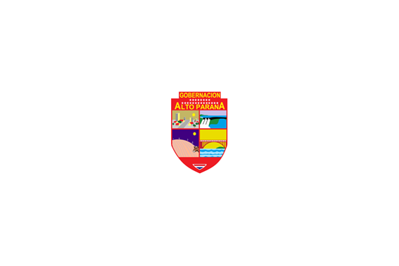 Official Flag - Alto Paraná Department State Symbol