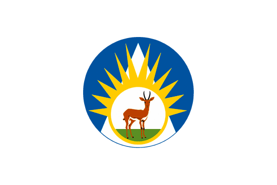 Official Flag