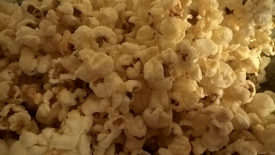 popcorn - Illinois State Symbol