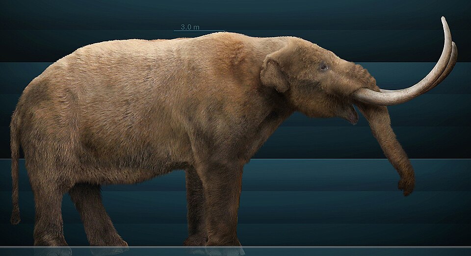Mammut - Michigan State Symbol