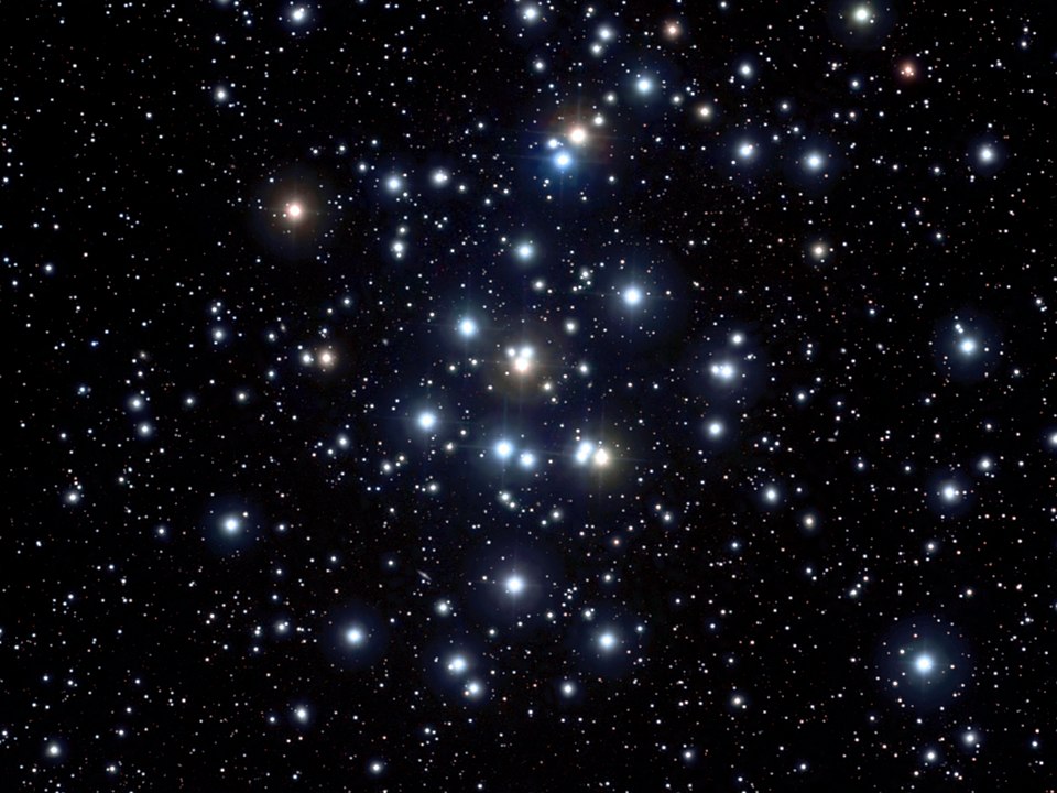 Beehive Cluster - Utah State Symbol