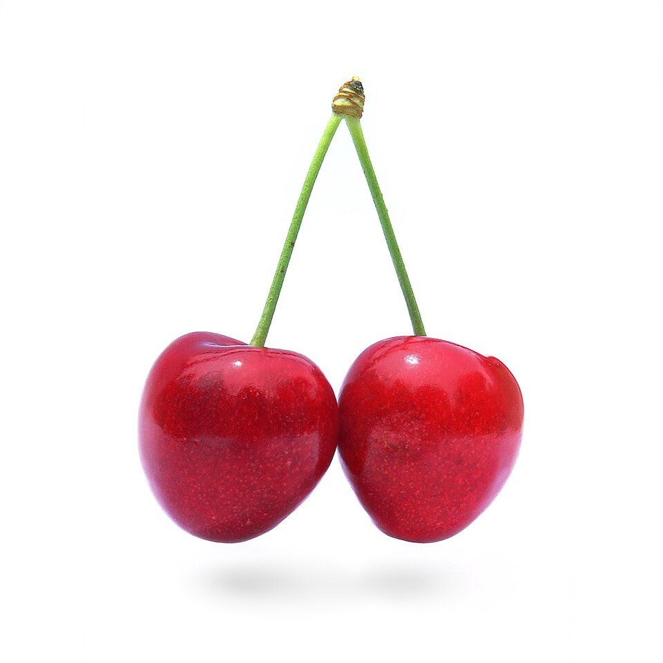 cherry - Utah State Symbol